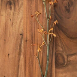 Stellingkast Van Suar Hout 18 Stellingkast Van Suar Hout -BEPUREHOME Winkel dtp home flare stellingkast van suar hout 01