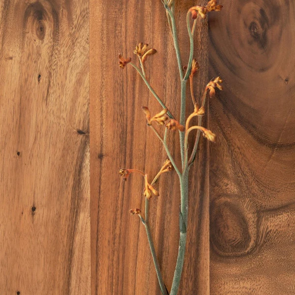 Stellingkast Van Suar Hout 10 Stellingkast Van Suar Hout - Afbeelding 8