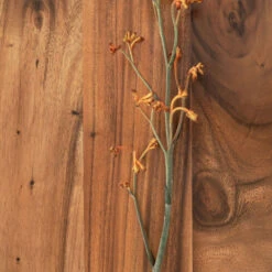 Suar Tv-meubel Uitschuifbaar -BEPUREHOME Winkel dtp home flare suar tv meubel uitschuifbaar 01