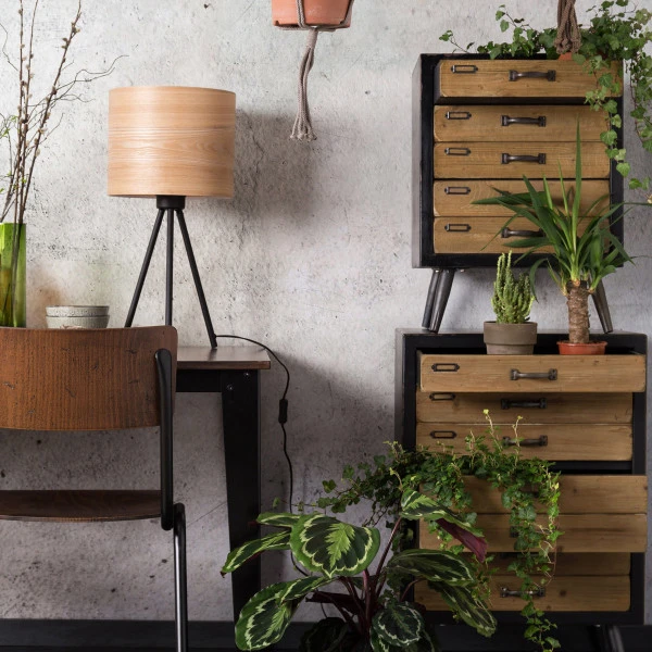 Laag Ladekastje 5 Laag Ladekastje - Afbeelding 3