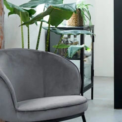 Glazen Kastje -BEPUREHOME Winkel glazen kastje bodio rise 05