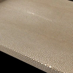 Zwarte Design Vakkenkast 18 Zwarte Design Vakkenkast -BEPUREHOME Winkel kare design milano zwarte design vakkenkast 10